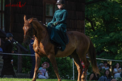 Suknia historyczna do jazdy konnej